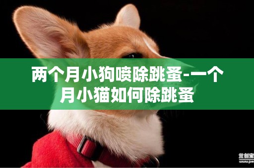 兩個月小狗噴除跳蚤-一個月小貓如何除跳蚤