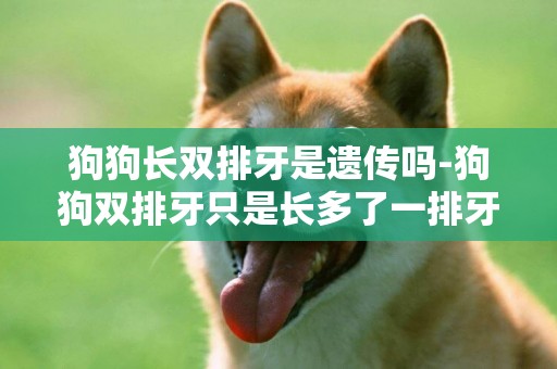 狗狗長雙排牙是遺傳嗎-狗狗雙排牙只是長多了一排牙