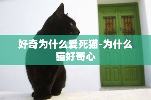 好奇為什么愛死貓-為什么貓好奇心