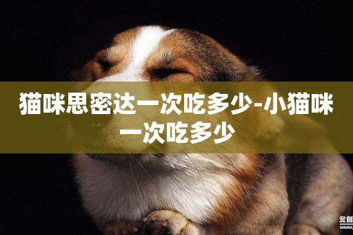貓咪思密達一次吃多少-小貓咪一次吃多少