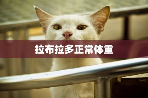 拉布拉多正常體重