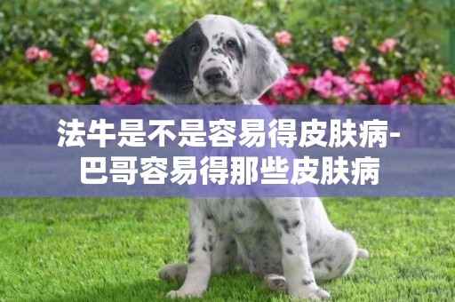 法牛是不是容易得皮膚病-巴哥容易得那些皮膚病