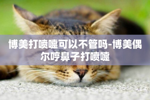博美打噴嚏可以不管嗎-博美偶爾哼鼻子打噴嚏