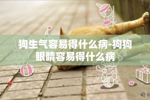 狗生氣容易得什么病-狗狗眼睛容易得什么病
