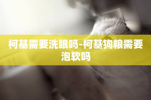 柯基需要洗眼嗎-柯基狗糧需要泡軟嗎