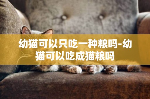 幼貓可以只吃一種糧嗎-幼貓可以吃成貓糧嗎