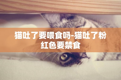貓吐了要喂食嗎-貓吐了粉紅色要禁食