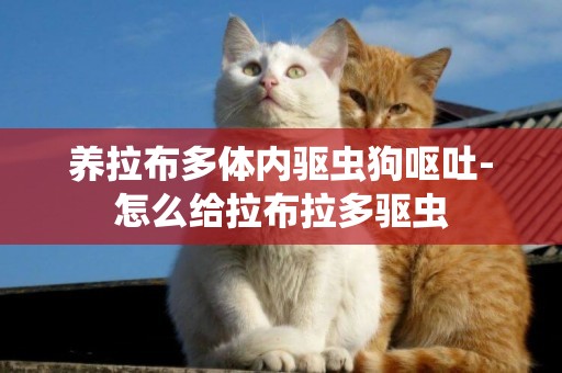 養拉布多體內驅蟲狗嘔吐-怎么給拉布拉多驅蟲