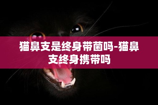 貓鼻支是終身帶菌嗎-貓鼻支終身攜帶嗎