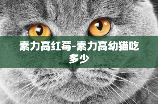 素力高紅莓-素力高幼貓吃多少