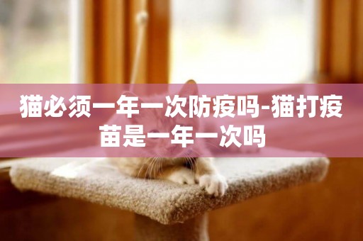 貓必須一年一次防疫嗎-貓打疫苗是一年一次嗎
