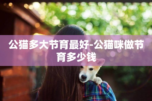 公貓多大節育最好-公貓咪做節育多少錢