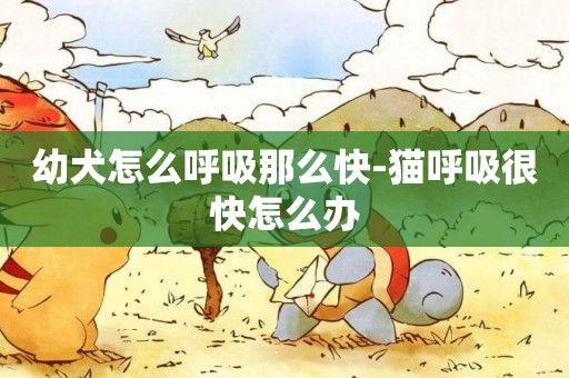 幼犬怎么呼吸那么快-貓呼吸很快怎么辦