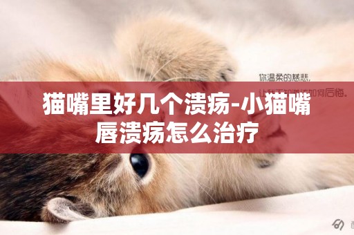 貓嘴里好幾個潰瘍-小貓嘴唇潰瘍怎么治療