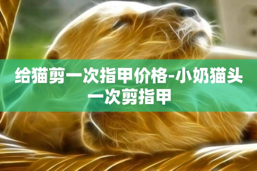 給貓剪一次指甲價格-小奶貓頭一次剪指甲