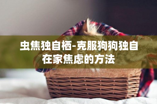 蟲焦獨自棲-克服狗狗獨自在家焦慮的方法