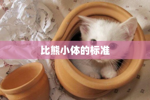 比熊小體的標準
