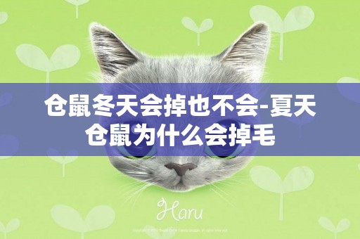 倉鼠冬天會掉也不會-夏天倉鼠為什么會掉毛