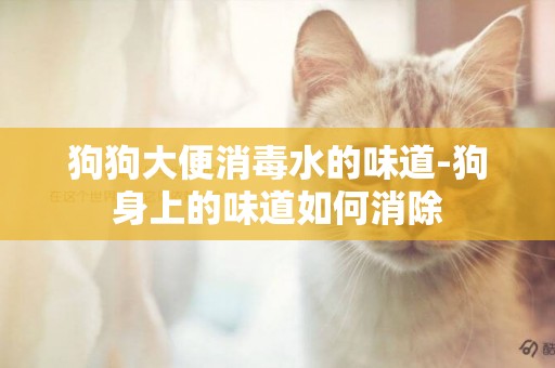 狗狗大便消毒水的味道-狗身上的味道如何消除