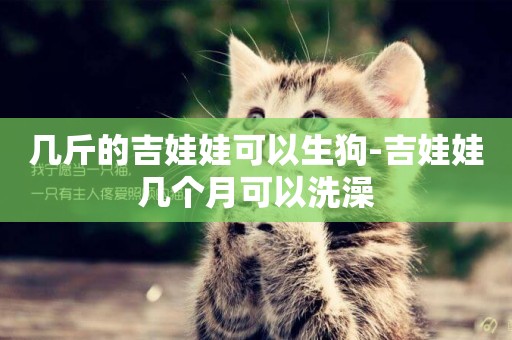 幾斤的吉娃娃可以生狗-吉娃娃幾個月可以洗澡