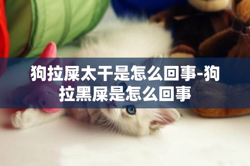 狗拉屎太干是怎么回事-狗拉黑屎是怎么回事