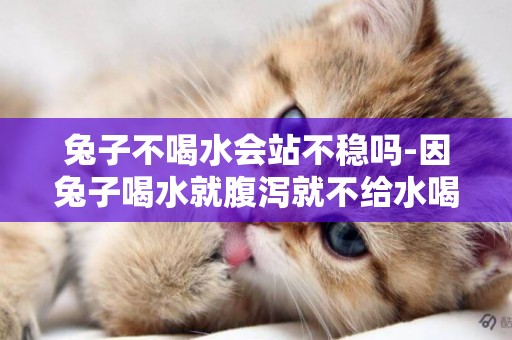 兔子不喝水會站不穩嗎-因兔子喝水就腹瀉就不給水喝