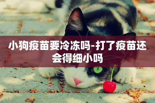 小狗疫苗要冷凍嗎-打了疫苗還會得細小嗎