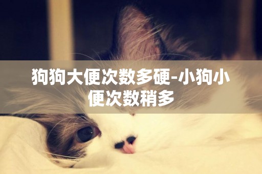 狗狗大便次數多硬-小狗小便次數稍多