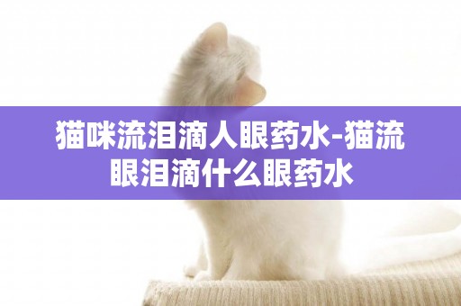 貓咪流淚滴人眼藥水-貓流眼淚滴什么眼藥水