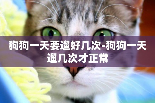 狗狗一天要遛好幾次-狗狗一天遛幾次才正常