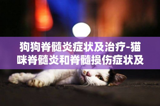 狗狗脊髓炎癥狀及治療-貓咪脊髓炎和脊髓損傷癥狀及治療