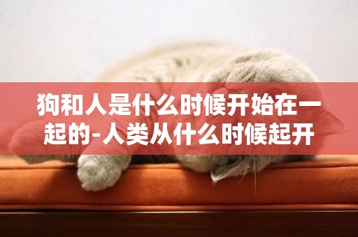 狗和人是什么時候開始在一起的-人類從什么時候起開始馴養狗