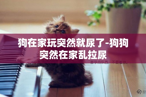 狗在家玩突然就尿了-狗狗突然在家亂拉尿