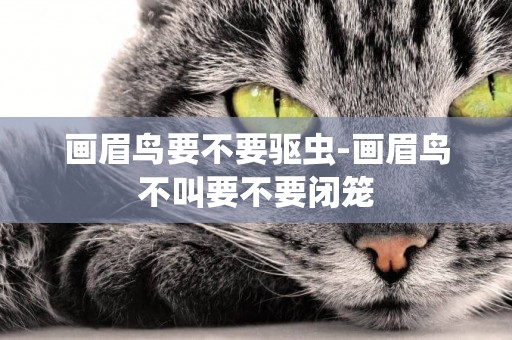 畫眉鳥要不要驅蟲-畫眉鳥不叫要不要閉籠