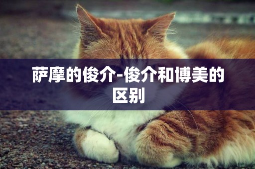 薩摩的俊介-俊介和博美的區別