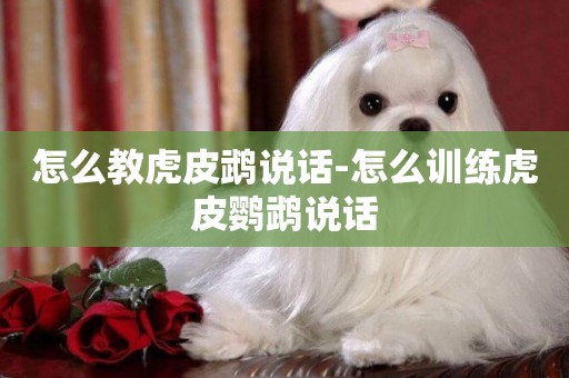 怎么教虎皮鵡說話-怎么訓練虎皮鸚鵡說話
