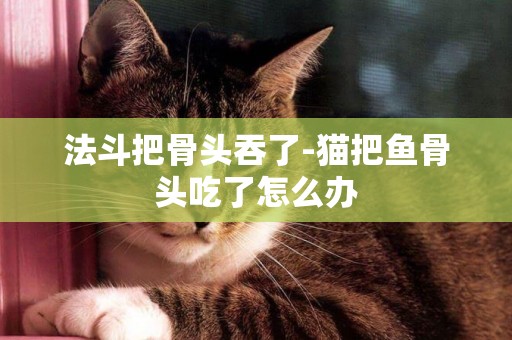 法斗把骨頭吞了-貓把魚骨頭吃了怎么辦