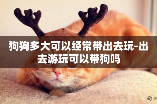 狗狗多大可以經常帶出去玩-出去游玩可以帶狗嗎