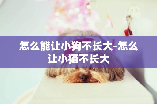 怎么能讓小狗不長大-怎么讓小貓不長大