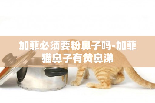 加菲必須要粉鼻子嗎-加菲貓鼻子有黃鼻涕