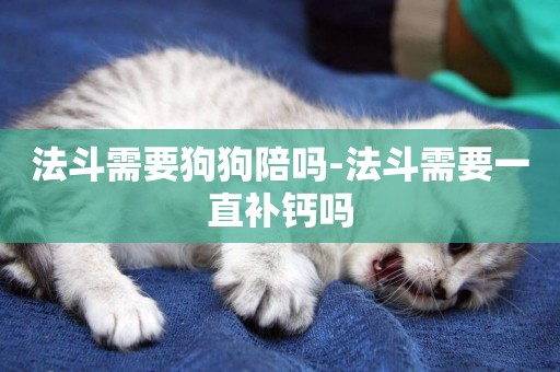 法斗需要狗狗陪嗎-法斗需要一直補鈣嗎