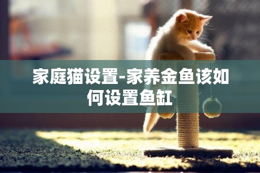 家庭貓設置-家養金魚該如何設置魚缸