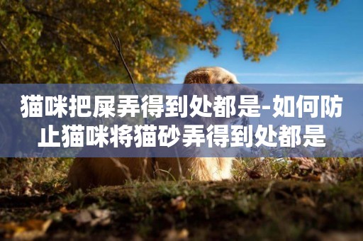貓咪把屎弄得到處都是-如何防止貓咪將貓砂弄得到處都是