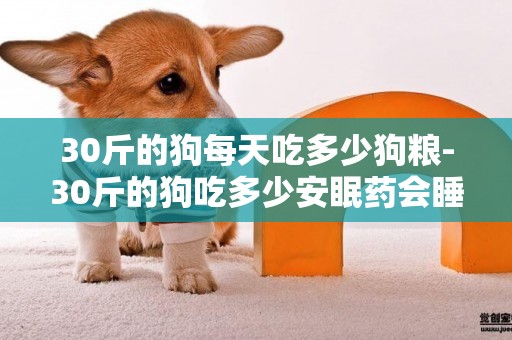 30斤的狗每天吃多少狗糧-30斤的狗吃多少安眠藥會睡著