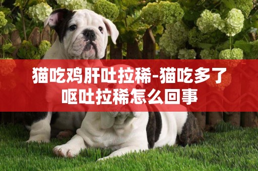 貓吃雞肝吐拉稀-貓吃多了嘔吐拉稀怎么回事
