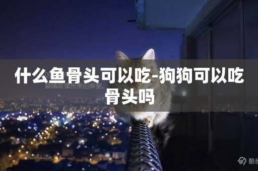 什么魚骨頭可以吃-狗狗可以吃骨頭嗎
