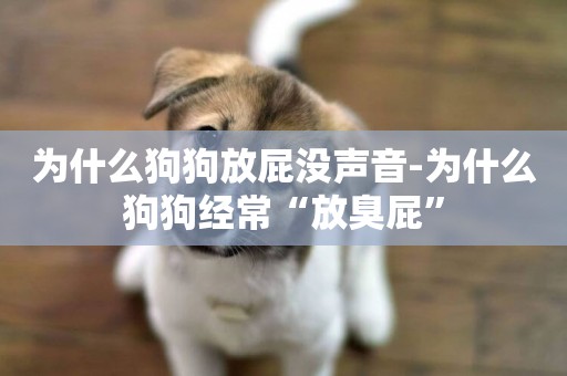 為什么狗狗放屁沒聲音-為什么狗狗經常“放臭屁”