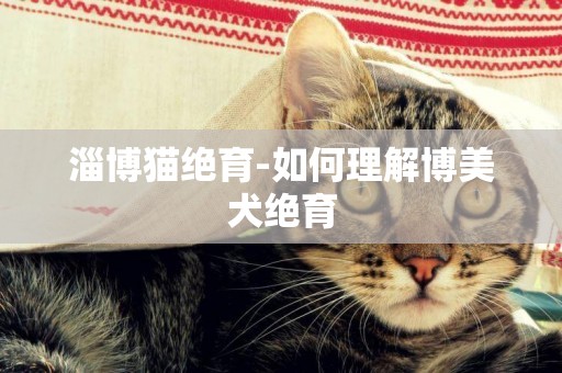 淄博貓絕育-如何理解博美犬絕育