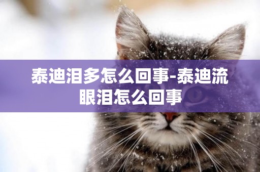 泰迪淚多怎么回事-泰迪流眼淚怎么回事