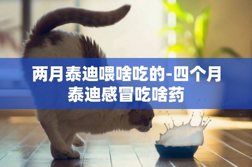 兩月泰迪喂啥吃的-四個月泰迪感冒吃啥藥